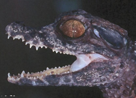 begemot_122