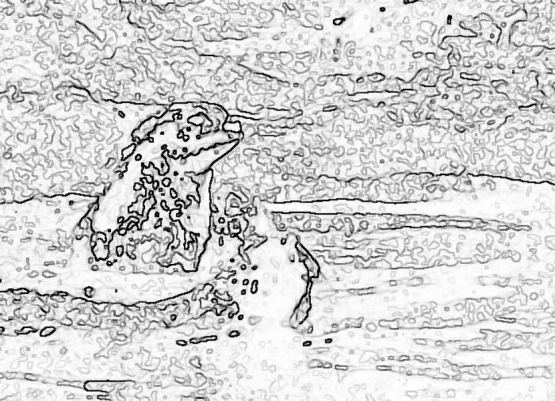 bobr_367