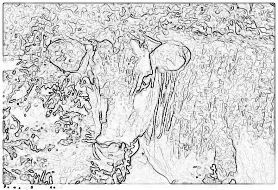 korov_114