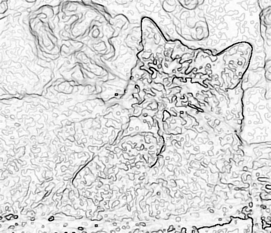 kot_742