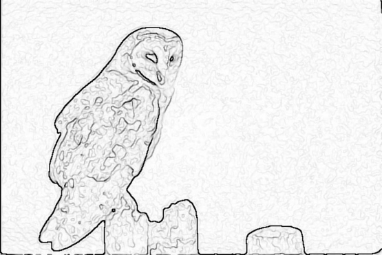 ptic_38