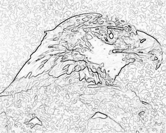 ptic_86