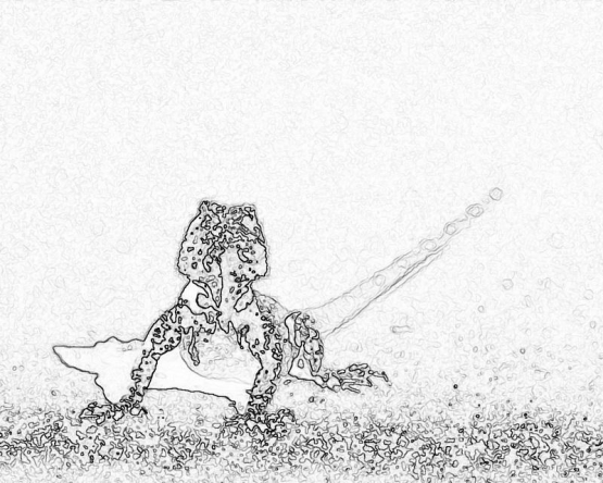 reptile_3