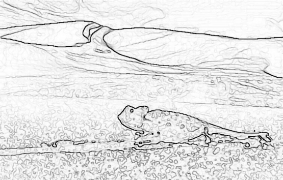 reptile_9
