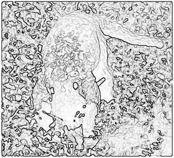 other_561