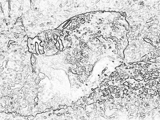 other_569