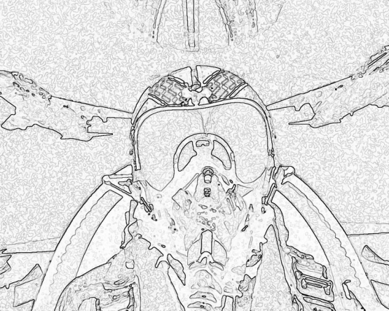 army_123