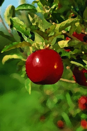 eda_2012