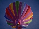 avia_1000