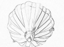 avia_1001