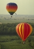 avia_1002