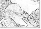bobr_349