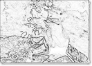 bobr_351