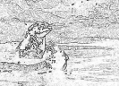 bobr_367