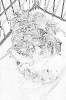 sobaki_1006