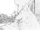 sobaki_1022
