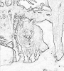 sobaki_1024