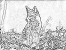 sobaki_1030