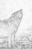 sobaki_1040
