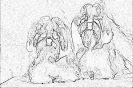 sobaki_1042