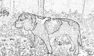 sobaki_1082