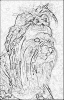 sobaki_1084