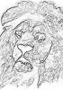 kot_722