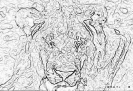 kot_734