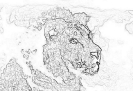 kot_746