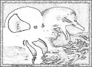 ptic_114