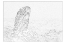 ptic_118