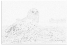 ptic_120