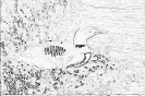 ptic_14