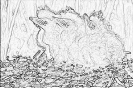 ptic_16