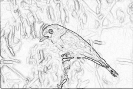 ptic_22