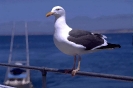 ptic_25