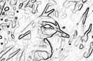 ptic_28