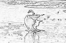ptic_34