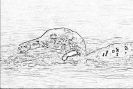 ptic_46