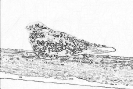 ptic_56