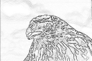 ptic_58