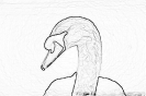 ptic_78