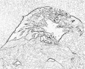 ptic_86