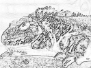 reptile_5