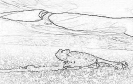 reptile_9