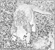 other_561
