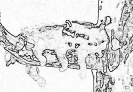 other_563