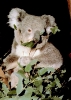other_568