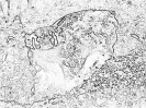 other_569