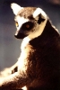 other_572